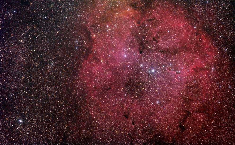 <b>IC 1396</b>