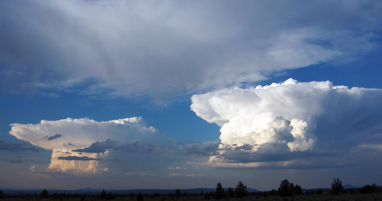 Stormy Skies