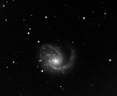 M99 with AP 6 inch