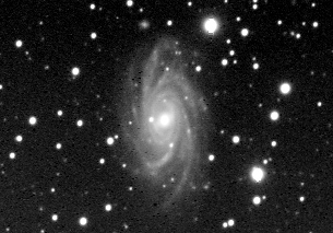 NGC 2336