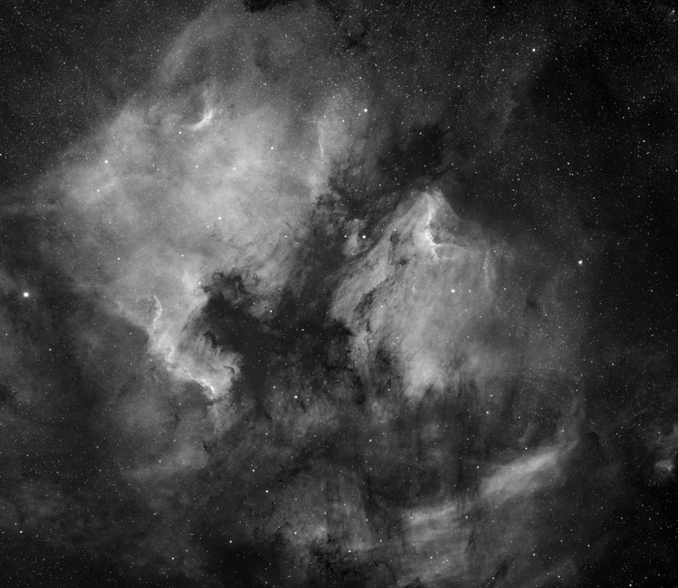 <b>The North American and Pelican Nebula</b>