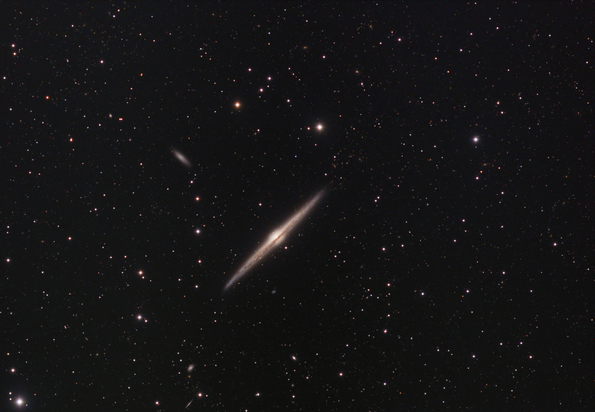 NGC4565