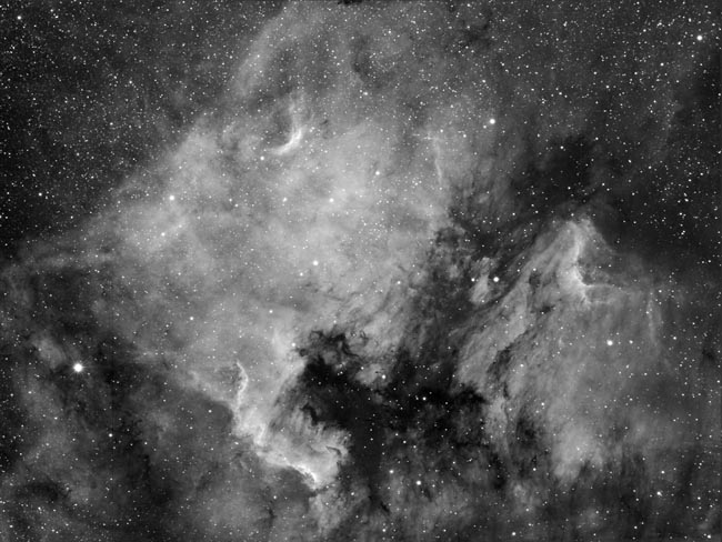 NGC 7000