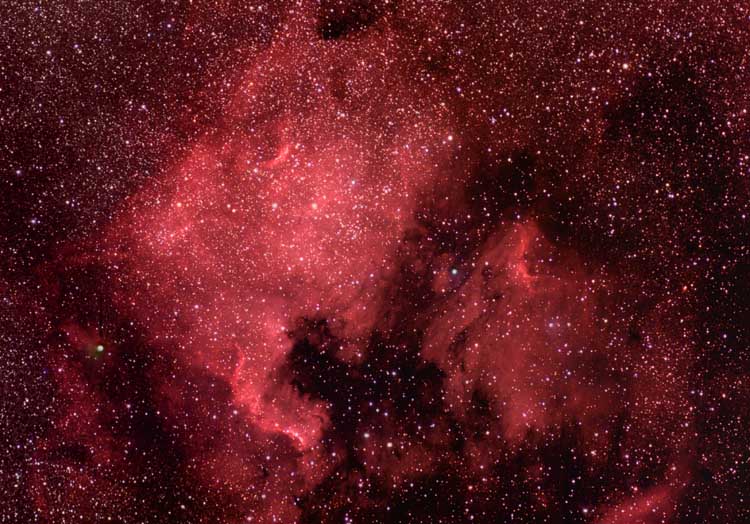 NGC 7000 and Pelican Nebula