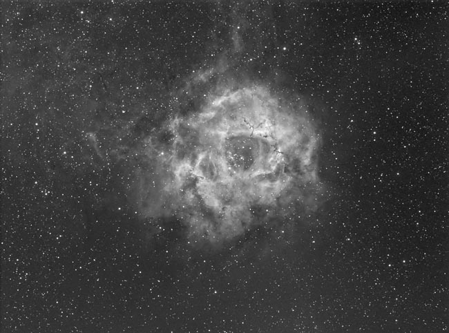 Rosette Nebula