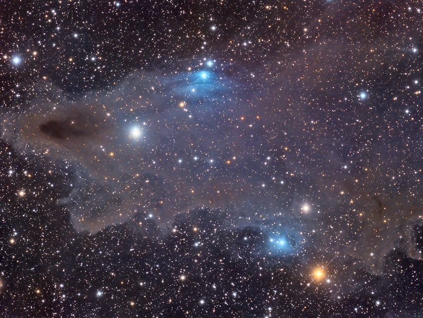 Shark Nebula