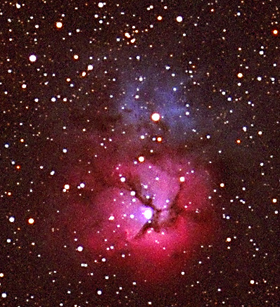 Trifid in 6 inch